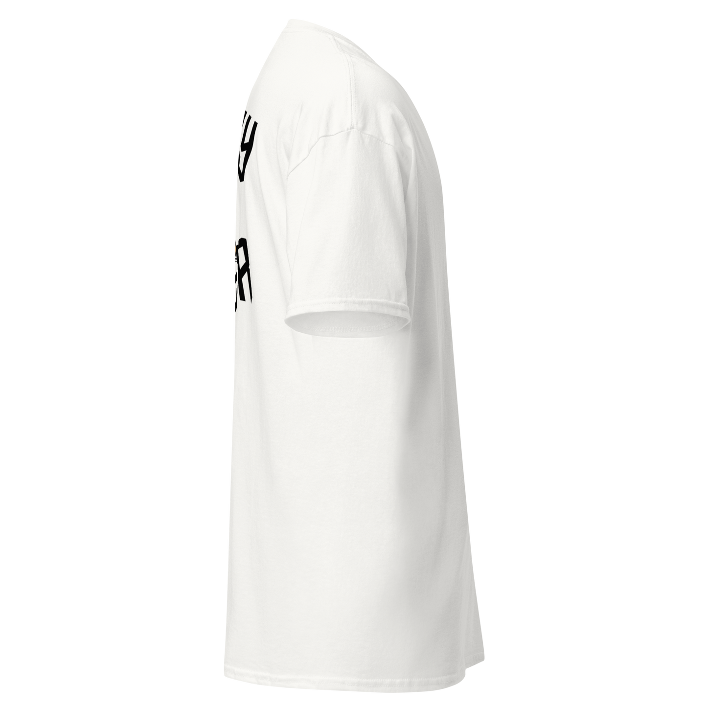 Money Is Power classic tee